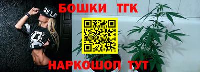 ECSTASY Камышлов