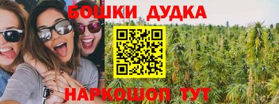 Альфа ПВП Кандалакша