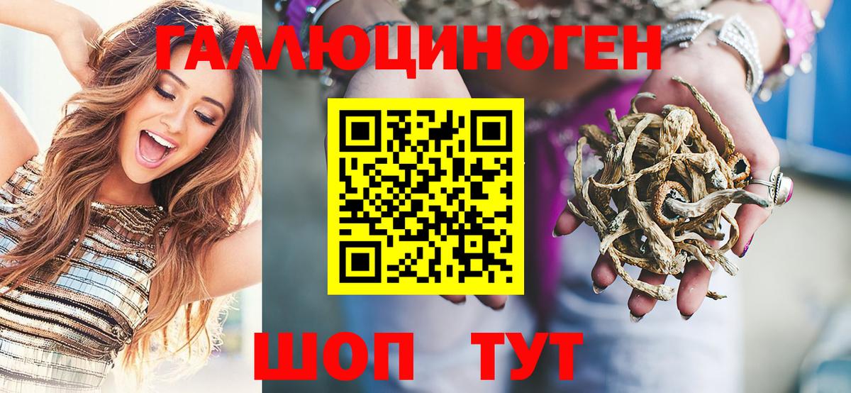 Галлюциногенные грибы Magic Shrooms  Вход с VPN  Дербент  Галлюциногенные грибы Psilocybine cubensis 